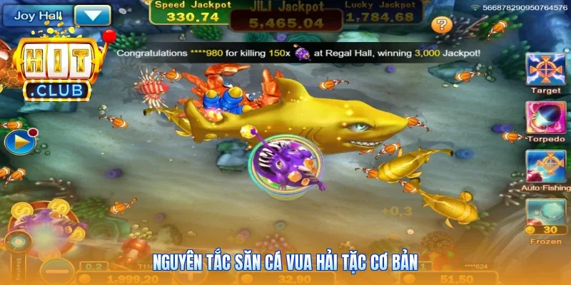 Nguyên tắc săn cá vua hải tặc cơ bản