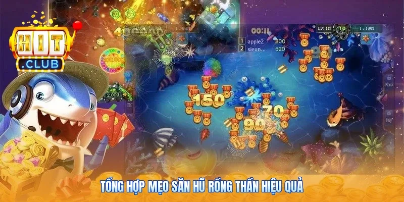 Tổng hợp mẹo săn hũ rồng thần hiệu quả